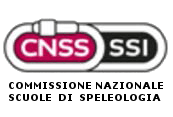 CNSS-SSI