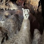 i MoStRi dElLe gRoTtE