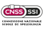 CNSS-SSI