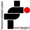 Logo fsp 200×200 px Logo fsp 200x200 px