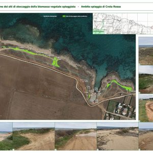 Sito di posa della Posidonia Creta Rossa - GEOS 2024